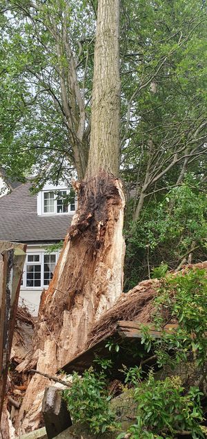 The second bit had fallen towards the dividing area between Arden Manor and Elliott Court