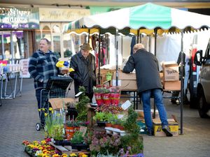 Supporting image for story: Leeford Village episode 35: We’re gonna make you a star!