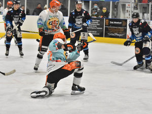 Supporting image for story: Telford Tigers looking for third victory on the spin tonight 