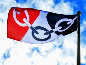 Supporting image for story: 'A victory for common sense': Fire chiefs back down in Black Country flag row