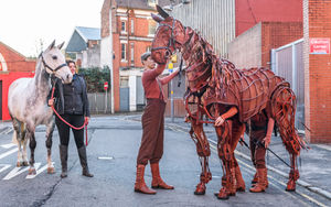 Silver meets Joey with Hippodrome Chief Executive and Artistic Director, Fiona Allan