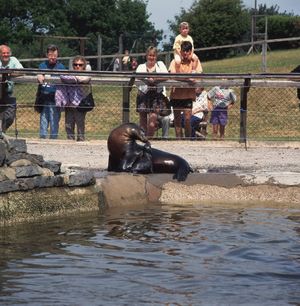 Supporting image for story