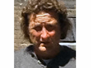 Supporting image for story: Boy, 10, bitten by out-of-control dog in Walsall