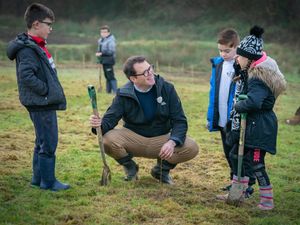 Supporting image for story: Every household in Wales to be given free tree to plant