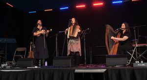 The Henry Girls at the Shrewsbury Folk Festival. Photo: John Hooper