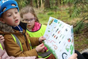 Supporting image for story: Shropshire charity welcomes outdoor learning focus for school curriculum as a positive step