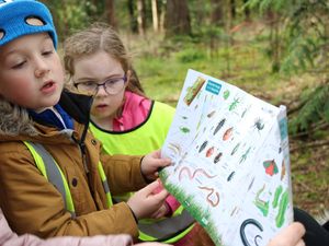 Supporting image for story: Shropshire charity welcomes outdoor learning focus for school curriculum as a positive step