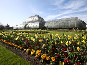 Supporting image for story: Kew’s Palm House to shut for renovations as part of push towards net zero