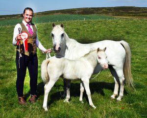 Ffion Price with Bluebell, Champion Welsh Mountain Pony. Image by Ted Edwards Photography