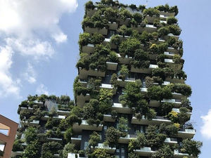 Supporting image for story: Old Black Country cinema set to be turned into 15-storey 'vertical forest'

