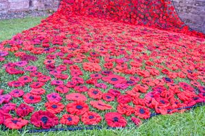 A closer look at the crocheted poppies which make up the Remembrance Day display at St Peter's Church in Inkberrow, Worcestershire, West Midlands.