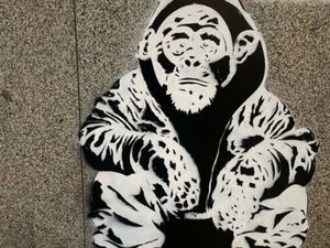 Supporting image for story: 'Darwisney' Banksy-style guerilla graffiti appears in Shrewsbury