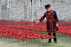 Supporting image for story: Poll: Should the poppies at the Tower of London stay for longer?