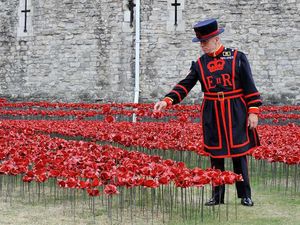 Supporting image for story: Poll: Should the poppies at the Tower of London stay for longer?