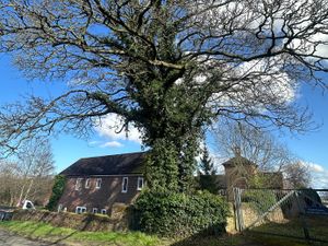 Supporting image for story: Telford and Wrekin planners decide on tree felling applications