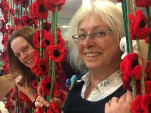Supporting image for story: Floral delight for Oswestry