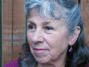 Supporting image for story: Fourth book published by Ludlow poet Diane