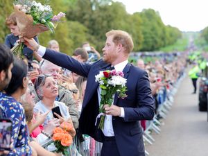 Supporting image for story: Harry thanks Queen for ‘sound advice’ in emotional tribute