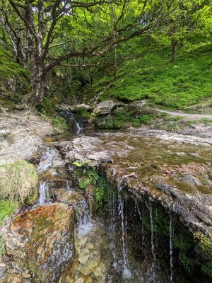 Nant Methan Waterfall - Celtic Rainforest at Elan Valley