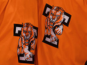 Supporting image for story: Confusion surrounds Telford ice hockey team name