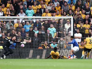 Supporting image for story: Wolves Fans' Verdict v Everton: A tough season ahead with lack of quality