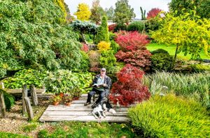John Massey in his garden in Autumn at Ashwood Nurseries near Kingswinford, West Midlands.