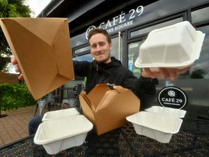 Supporting image for story: Eco-friendly business a triumph of entrepreneurial spirit of owner