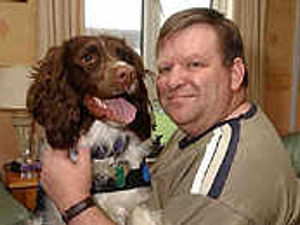 Supporting image for story: Spaniel Fudge makes the perfect dogsbody