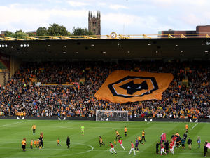 Supporting image for story: Wolves creating massive fan mosaic for behind-closed-doors matches