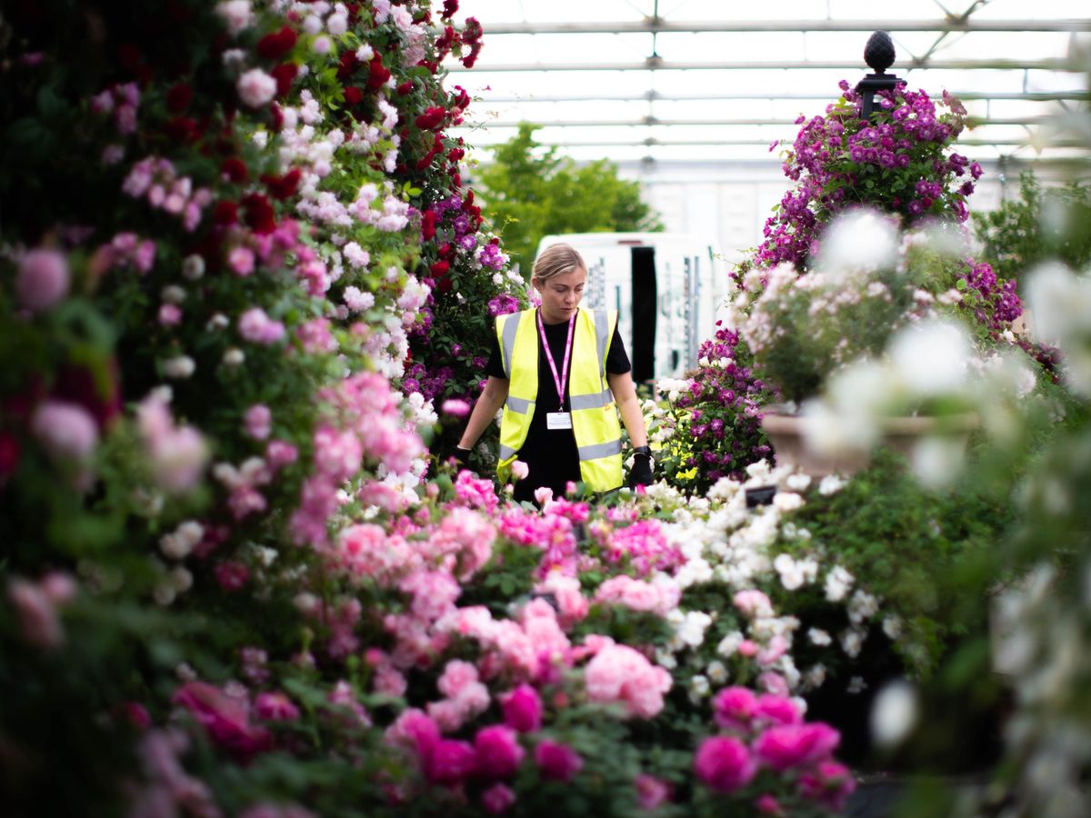 Chelsea Flower Show returns with a focus on climate, nature – and a love of dogs