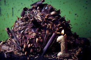 Birmingham's Bear Grylls Adventure celebrates first anniversary with ticket offers