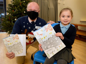 Supporting image for story: Castle design proves a festive hit