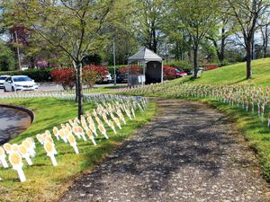 Supporting image for story: Families remember loved ones with hospice garden 