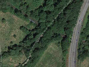 Supporting image for story: Shrewsbury nature reserve wins gold in national awards