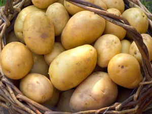 Supporting image for story: Tensions grow in the potato supply chain