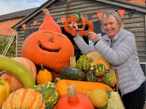 Supporting image for story: Tickets on sale as Llynclys Hall Farm shop prepares for bumper pumpkin picking season