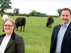 Supporting image for story: Top honours for the team at FBC Manby Bowdler