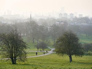 Supporting image for story