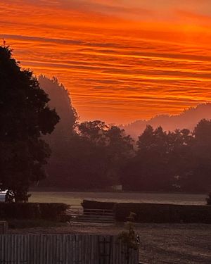 Jane Faber took this picture in Kinnerley, near Oswestry