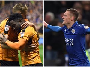 Supporting image for story: Wolves to face Leicester in pre-season