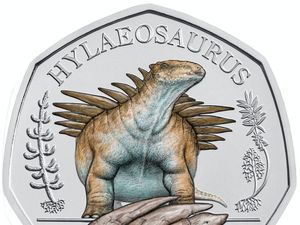 Supporting image for story