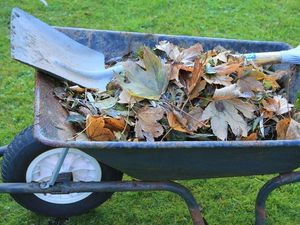 Supporting image for story: Reminder to sign up for green waste service  