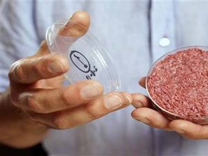Supporting image for story: Will man-made meat give us food for thought?
