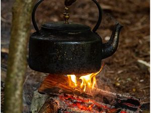 Supporting image for story: Volunteers sought to help plant trees in Westhope