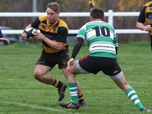 Supporting image for story: Hornets chief plays down promotion talk