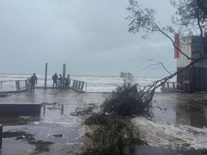 A tree lies fallen on the beach front on the Gold Coast