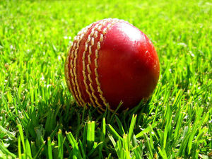 Supporting image for story: Shropshire will be keen to build on positive summer