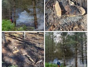 Supporting image for story: Urgent warning as police release dramatic images of Cannock Chase fire caused by disposable BBQ
