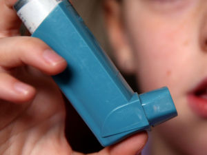 Supporting image for story: Special event helps families to learn more about managing child asthma
