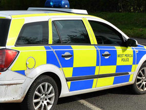 Supporting image for story: Violent disorder reported as group armed with axe and metal pole roam Telford streets